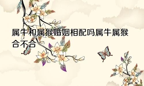 属牛和属猴婚姻相配吗属牛属猴合不合