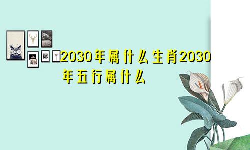 2030年属什么生肖2030年五行属什么