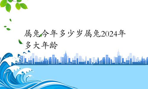 属兔今年多少岁属兔2024年多大年龄