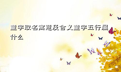 童字取名寓意及含义童字五行属什么