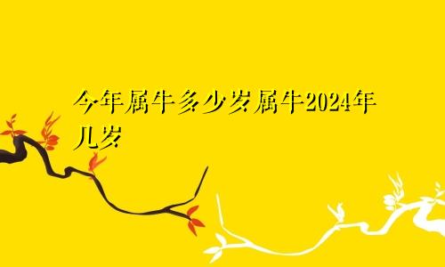 今年属牛多少岁属牛2024年几岁