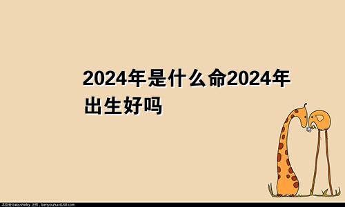 2024年是什么命2024年出生好吗