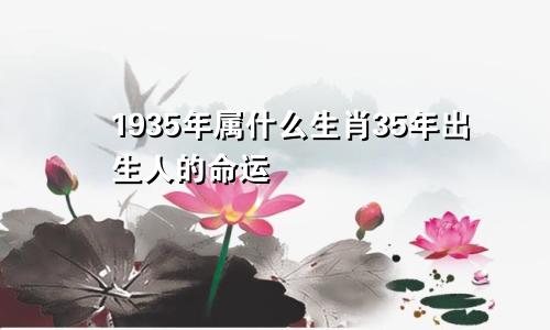 1935年属什么生肖35年出生人的命运