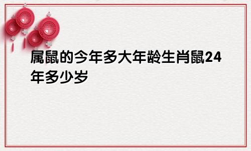 属鼠的今年多大年龄生肖鼠24年多少岁