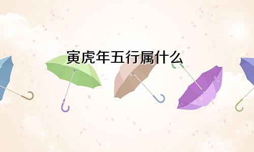 寅虎年五行属什么