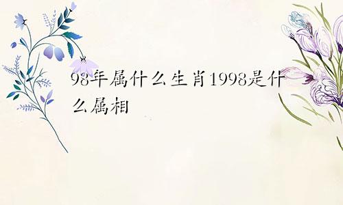 98年属什么生肖1998是什么属相