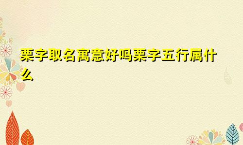 栗字取名寓意好吗栗字五行属什么