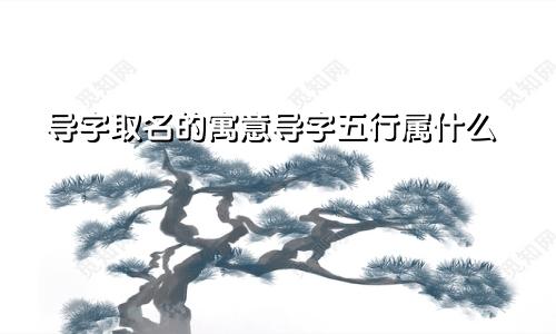 导字取名的寓意导字五行属什么