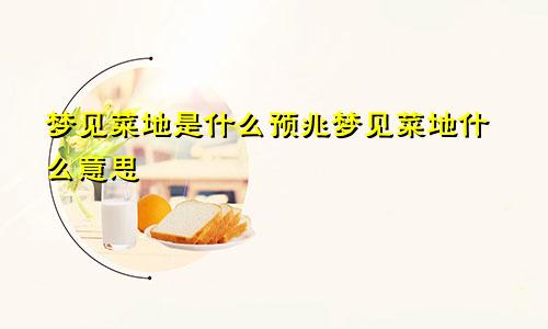 梦见菜地是什么预兆梦见菜地什么意思