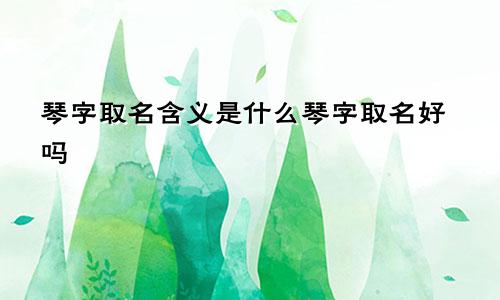 琴字取名含义是什么琴字取名好吗