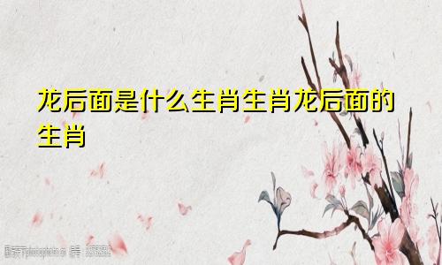 龙后面是什么生肖生肖龙后面的生肖