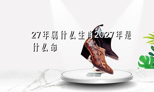 27年属什么生肖2027年是什么命