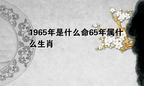 1965年是什么命65年属什么生肖