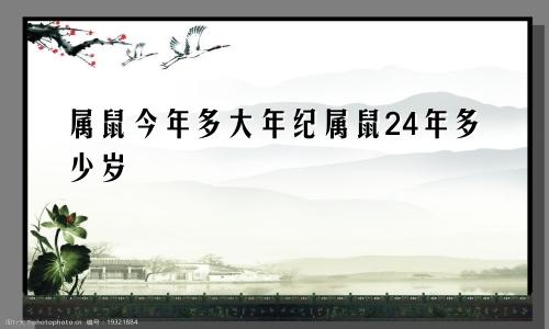 属鼠今年多大年纪属鼠24年多少岁