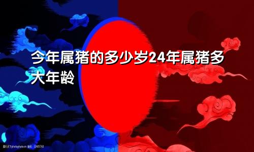 今年属猪的多少岁24年属猪多大年龄