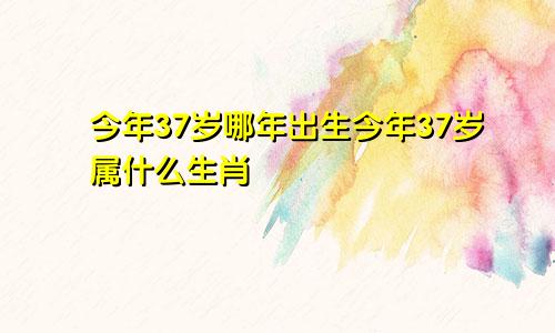 今年37岁哪年出生今年37岁属什么生肖