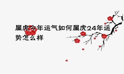 属虎今年运气如何属虎24年运势怎么样