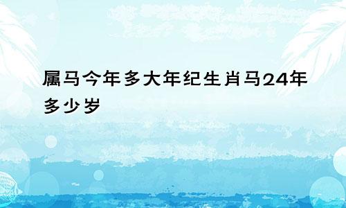 属马今年多大年纪生肖马24年多少岁