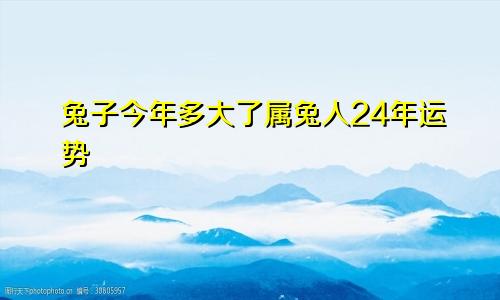 兔子今年多大了属兔人24年运势