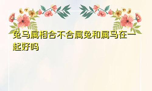 兔马属相合不合属兔和属马在一起好吗