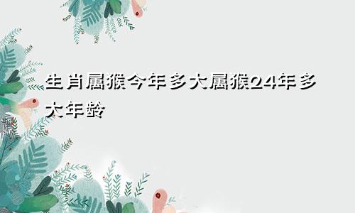 生肖属猴今年多大属猴24年多大年龄