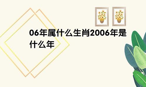 06年属什么生肖2006年是什么年