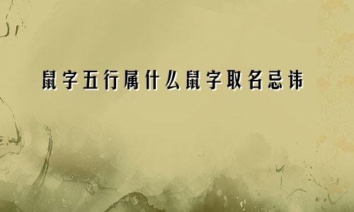 鼠字五行属什么鼠字取名忌讳