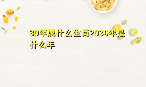 30年属什么生肖2030年是什么年