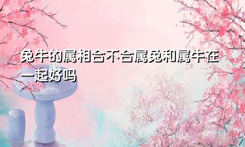 兔牛的属相合不合属兔和属牛在一起好吗