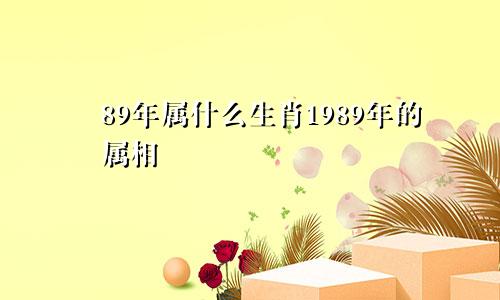 89年属什么生肖1989年的属相