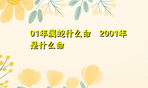 01年属蛇什么命　2001年是什么命