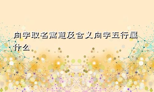 向字取名寓意及含义向字五行属什么