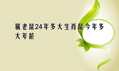 属老鼠24年多大生肖鼠今年多大年龄