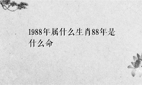 1988年属什么生肖88年是什么命