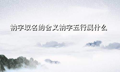 衲字取名的含义衲字五行属什么