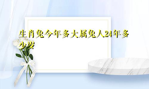 生肖兔今年多大属兔人24年多少岁