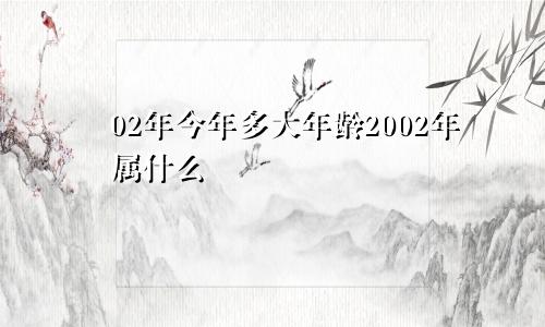 02年今年多大年龄2002年属什么