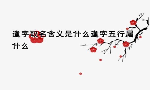 逢字取名含义是什么逢字五行属什么