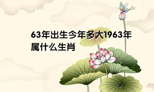 63年出生今年多大1963年属什么生肖