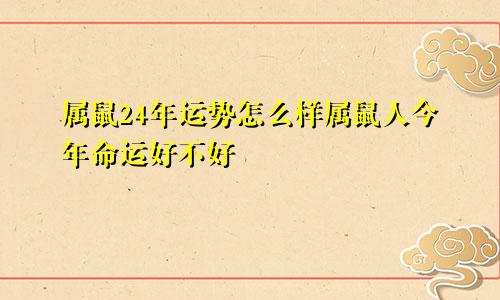 属鼠24年运势怎么样属鼠人今年命运好不好