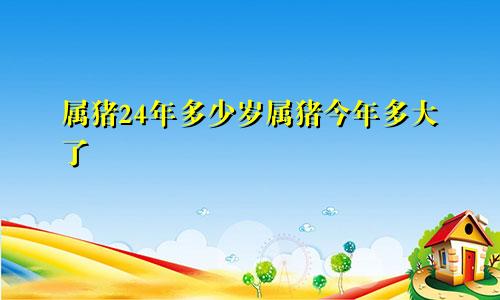 属猪24年多少岁属猪今年多大了