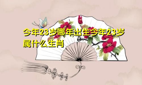 今年23岁哪年出生今年23岁属什么生肖