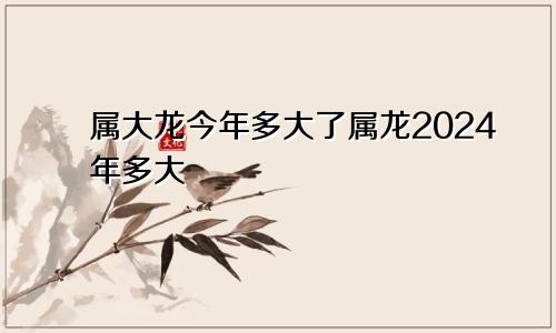 属大龙今年多大了属龙2024年多大