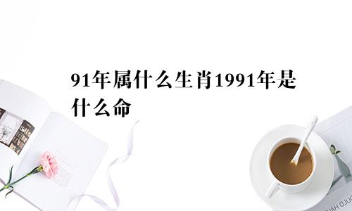 91年属什么生肖1991年是什么命