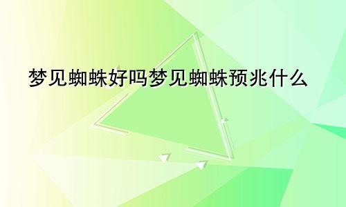 梦见蜘蛛好吗梦见蜘蛛预兆什么