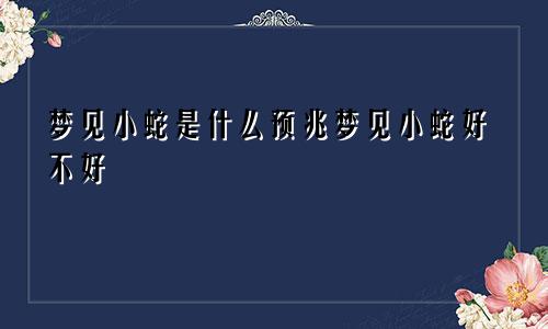 梦见小蛇是什么预兆梦见小蛇好不好