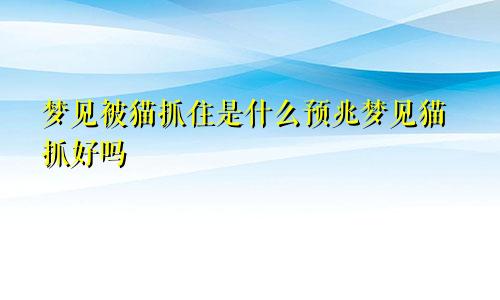 梦见被猫抓住是什么预兆梦见猫抓好吗