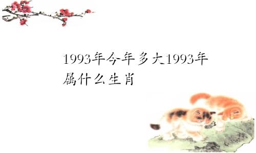 1993年今年多大1993年属什么生肖