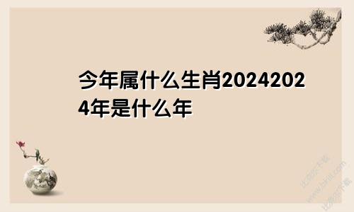 今年属什么生肖20242024年是什么年