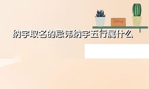 纳字取名的忌讳纳字五行属什么